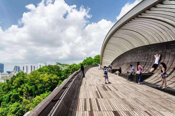 Top 3 Bridges Near Henderson Waves Singapore You Should Visit In 2022