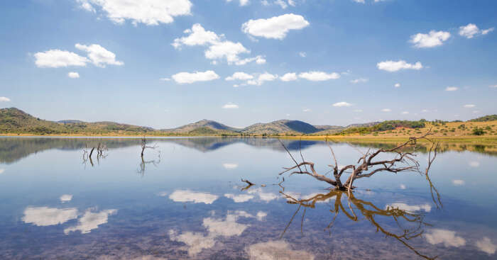 Pilanesberg Game Reserve: Planning Guide For Explorers