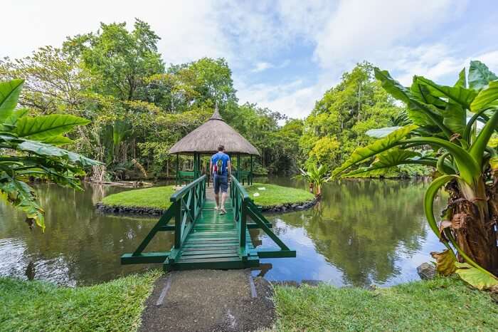 garden in pamplemousses