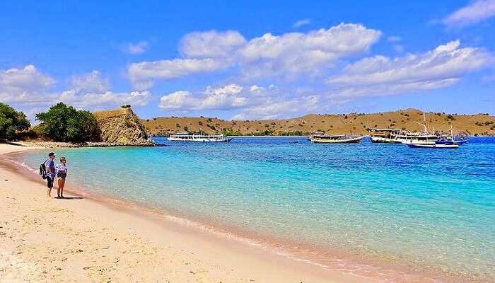pink beach kodomo