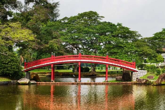 bridge over a lake