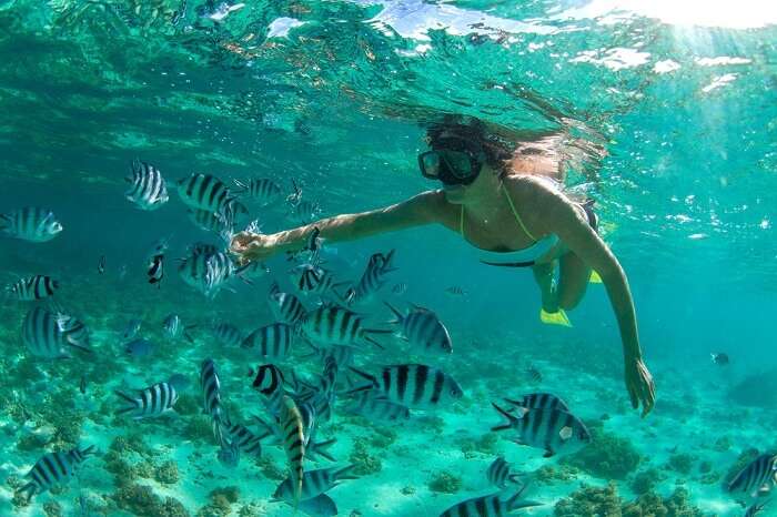 snorkeling port louis