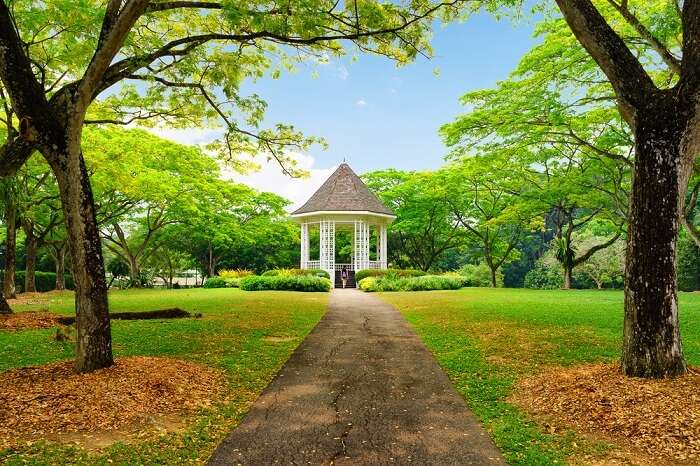 3 Places To Visit In Choa Chu Kang On Your Singapore Trip