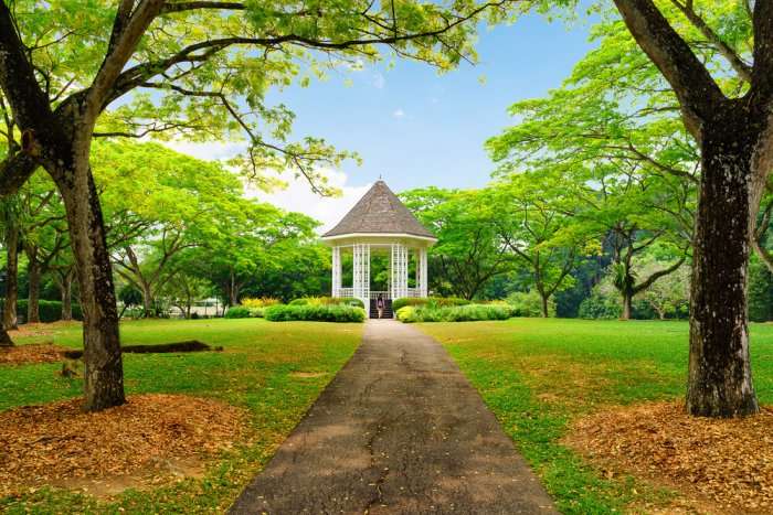 gorgeous view of botanical garden