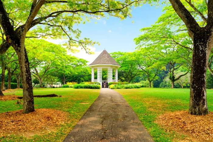 Singapore botanic garden