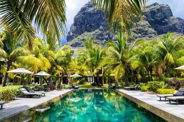 palm trees and pool