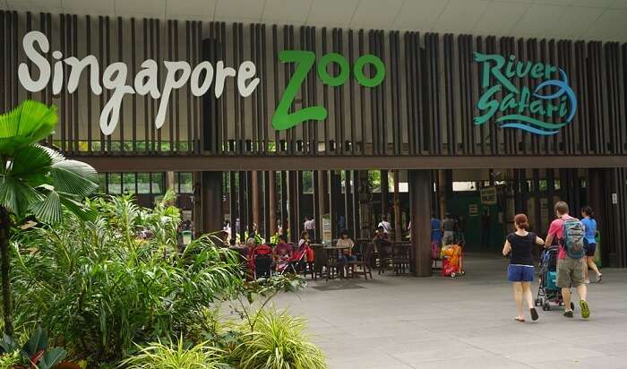zoo in singapore