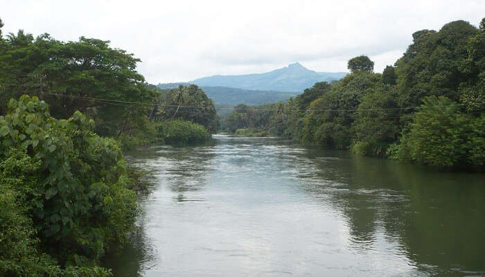 Meenachil River