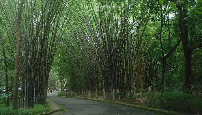 The Teak Museum