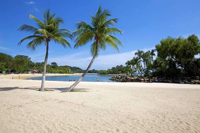 Beaches In Bayfront