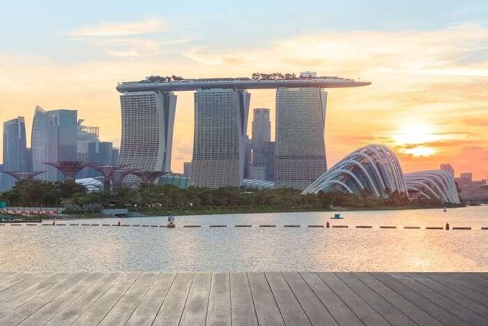 Singapore Super tree grove