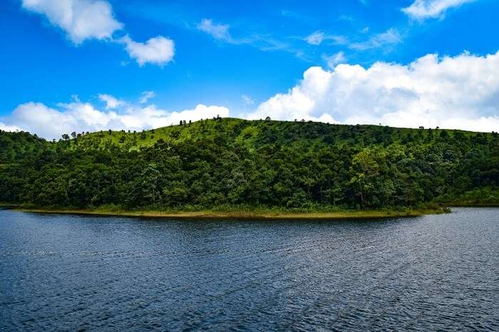 Periyar lake and wildlife sanctuary