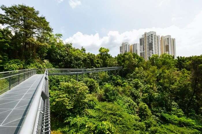 southern bridge in Singapore
