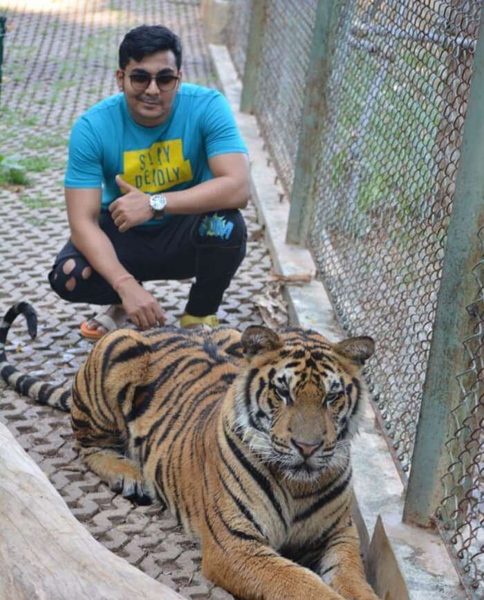 met with the tiger also