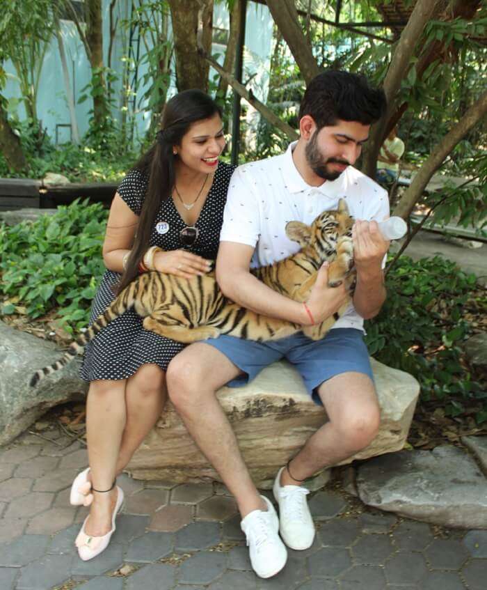 a beautiful time with small lion