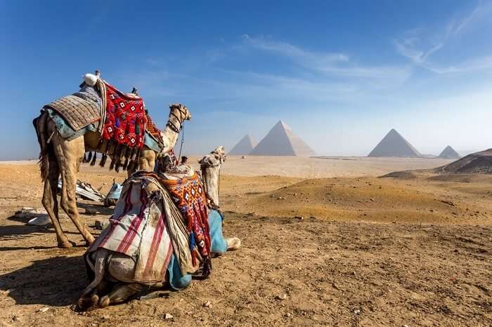 Cairo Travel Tips Things One Should Before Visiting The City