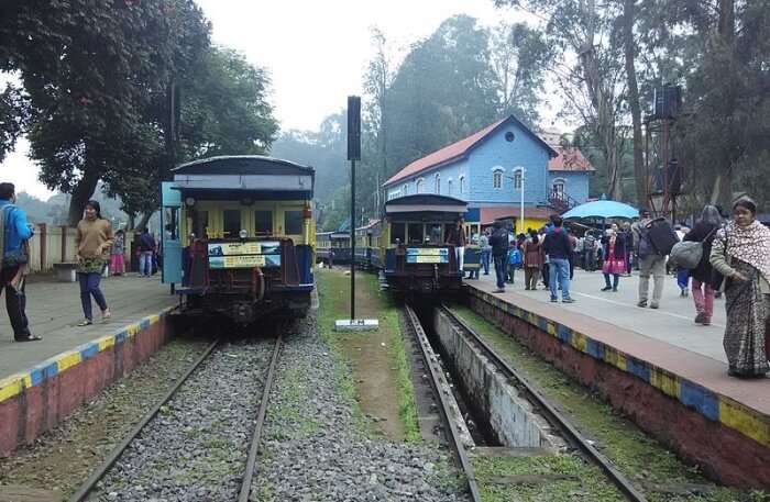 Toy Train in Ooty