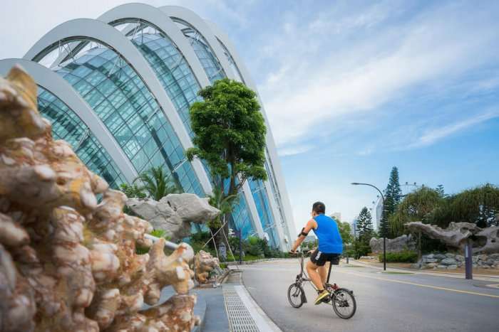 cycling in singapore