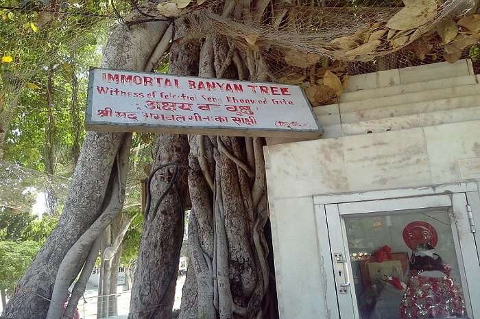 Akshayavat