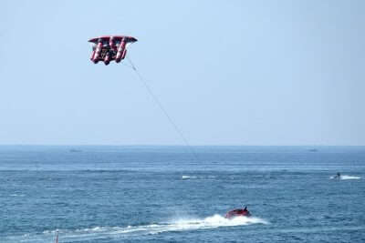 Bali Flying Fish