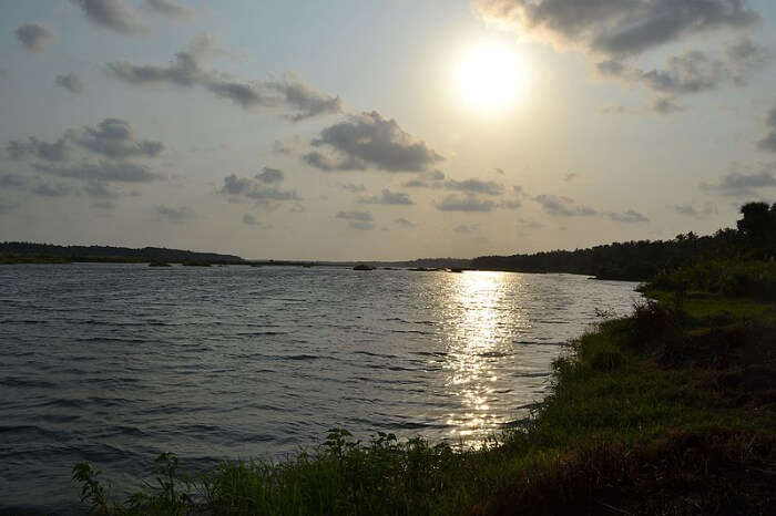 Bharathapuzha rive