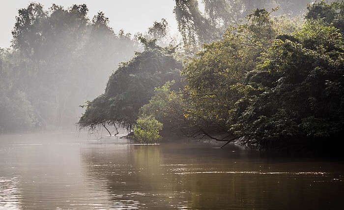 Bhitarkanika Beach