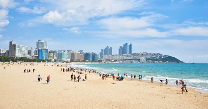 10 Best Things To Do In Busan For An Enthralling Experience!