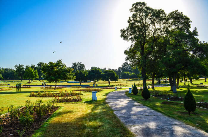 Best Things to Do in Chandigarh