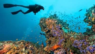 Superb Scuba Diving In Manila