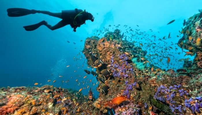 5 Best Places Where One Can Enjoy Scuba Diving In Manila