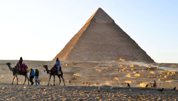 Giza cover