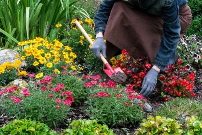 Plant rearing prevalent in India