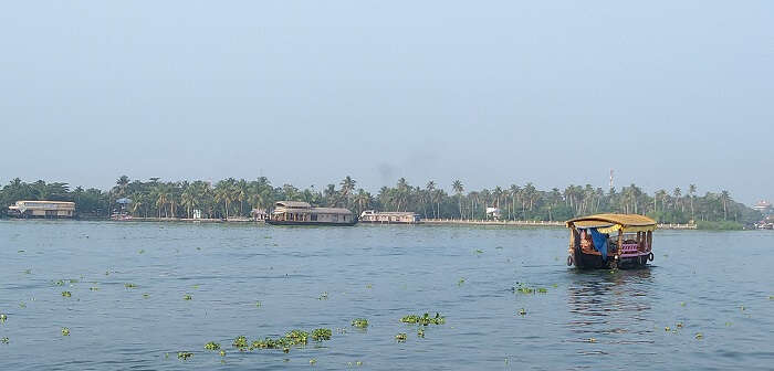  Backwater Of Alleppey