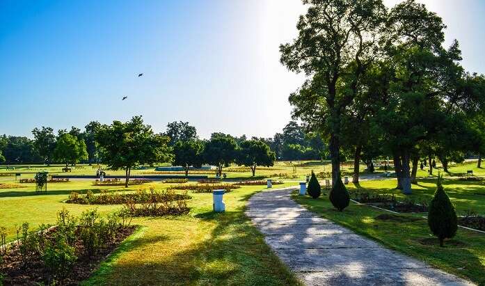 Rose Garden in Chandigarh