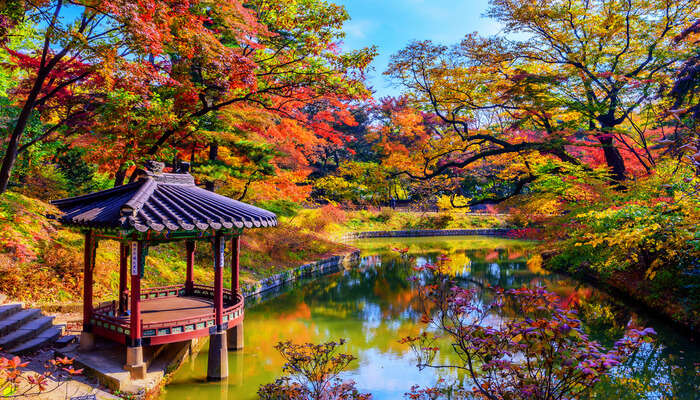 Autumn In Korea: 9 Stunning Places You Should Visit In 2022