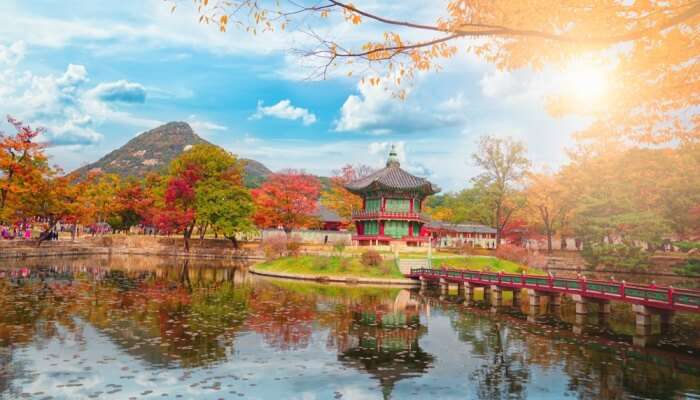 Awesome Autumn In Seoul