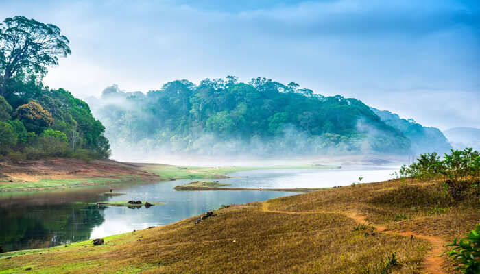 kerala gavi tourism