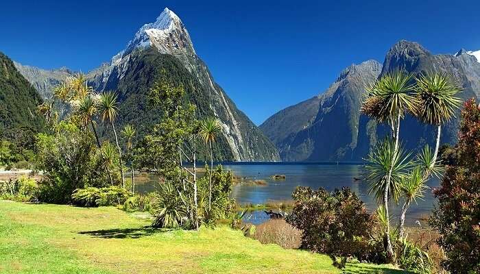 Scenic landscapes in New Zealand which is one of the best summer holiday destinations in the world