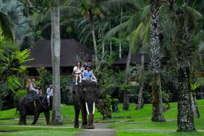 3 Amazing Places To Visit In Sukawati Bali To Spend Some Time With Mother Nature!