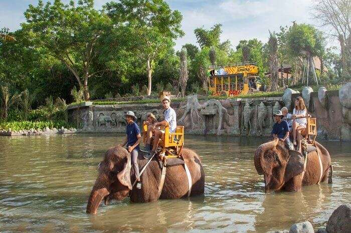 Bali Zoo