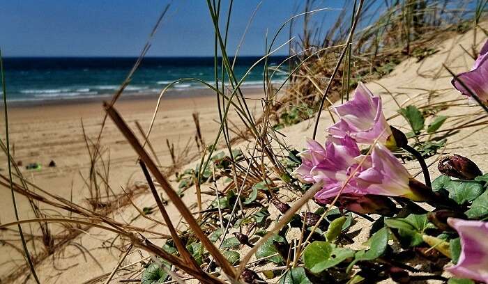 Atlantic Beach