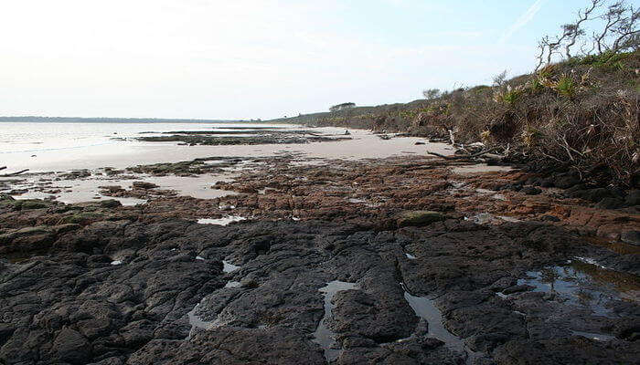 Big Talbot Island