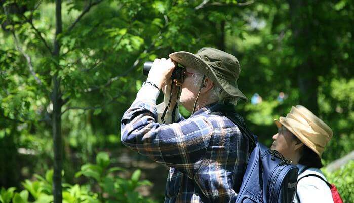 Birdwatching