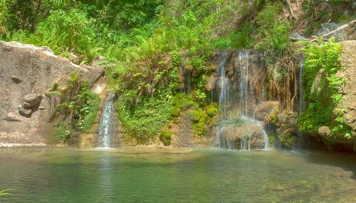 Cane River Falls