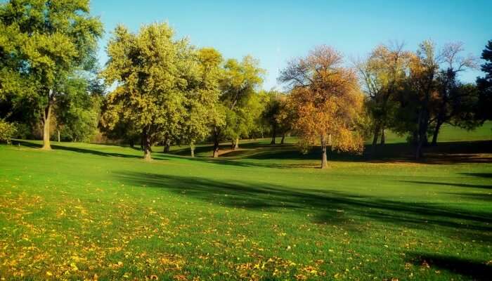 Park View