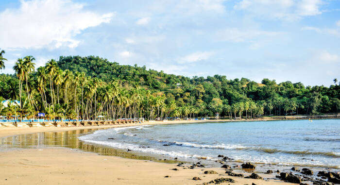 Witness The Scenic Beauty Of Corbyn Cove Beach In Port Blair