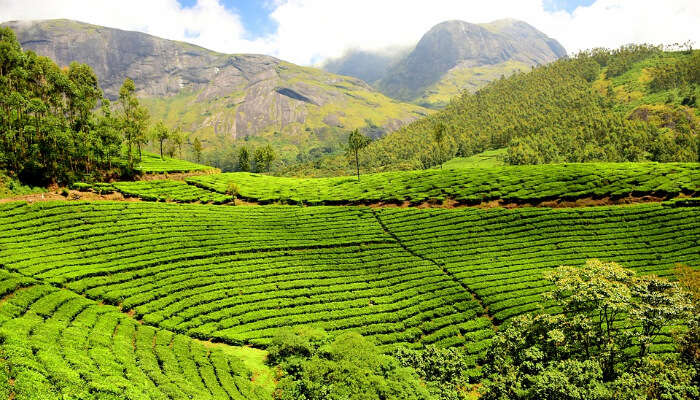 Place Near Sikkim