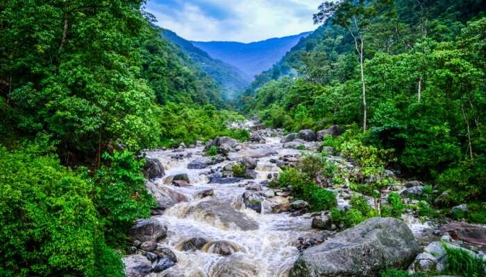 Waterfall, feel the breeze of Nature. Sukhanala, Arunachal Pradesh