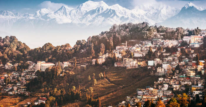 As malas de “Viagem a Darjeeling”