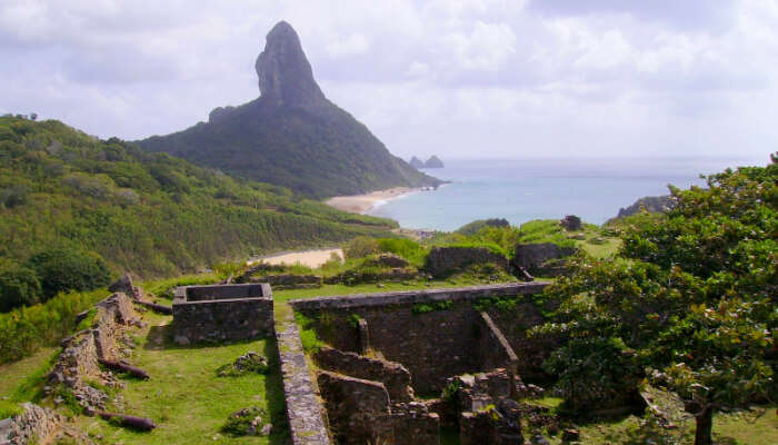 Fernando De Noronha Marine